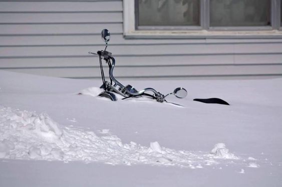 Buried%20in%20snow.jpg
