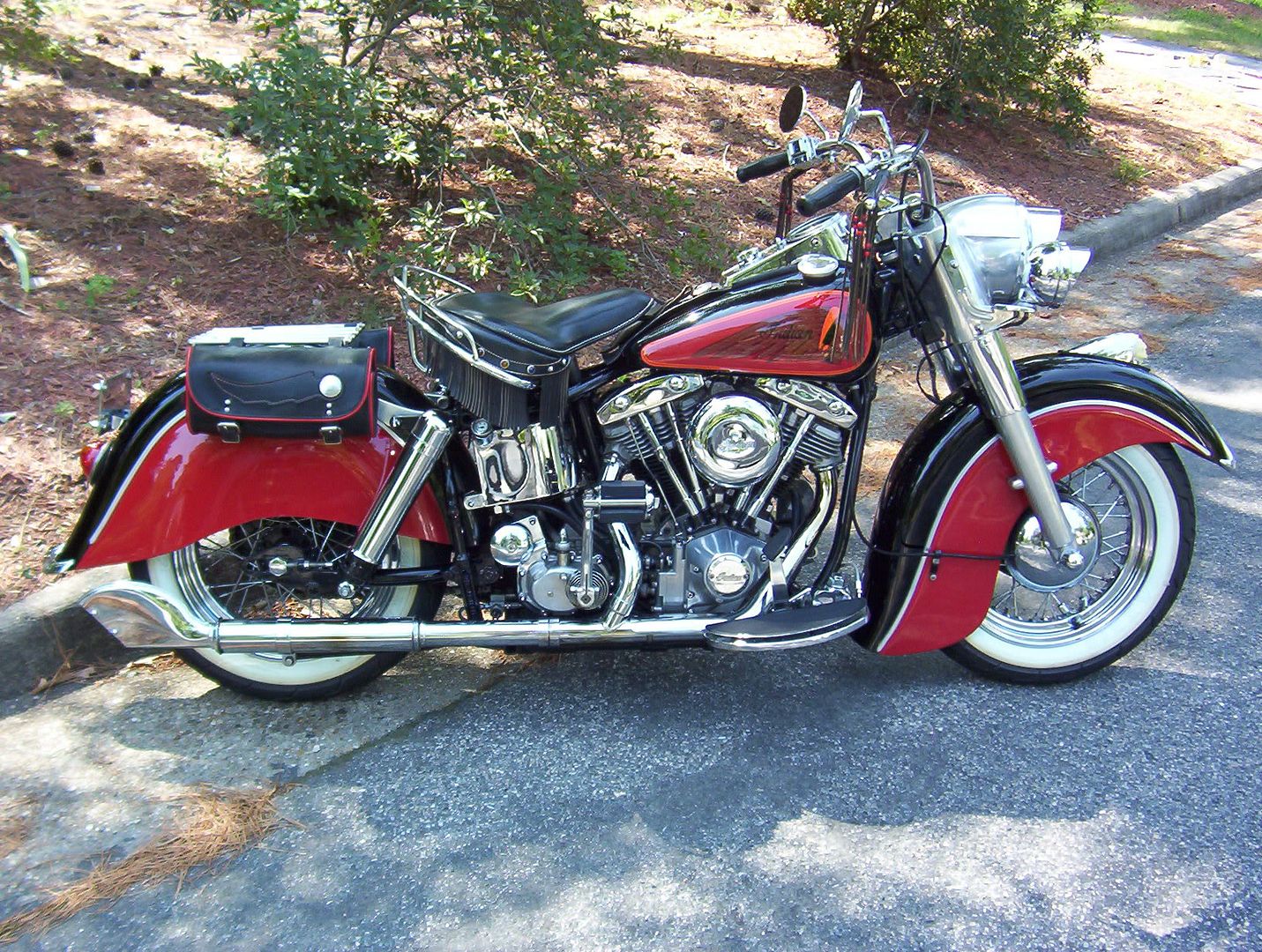 shovindian017.jpg