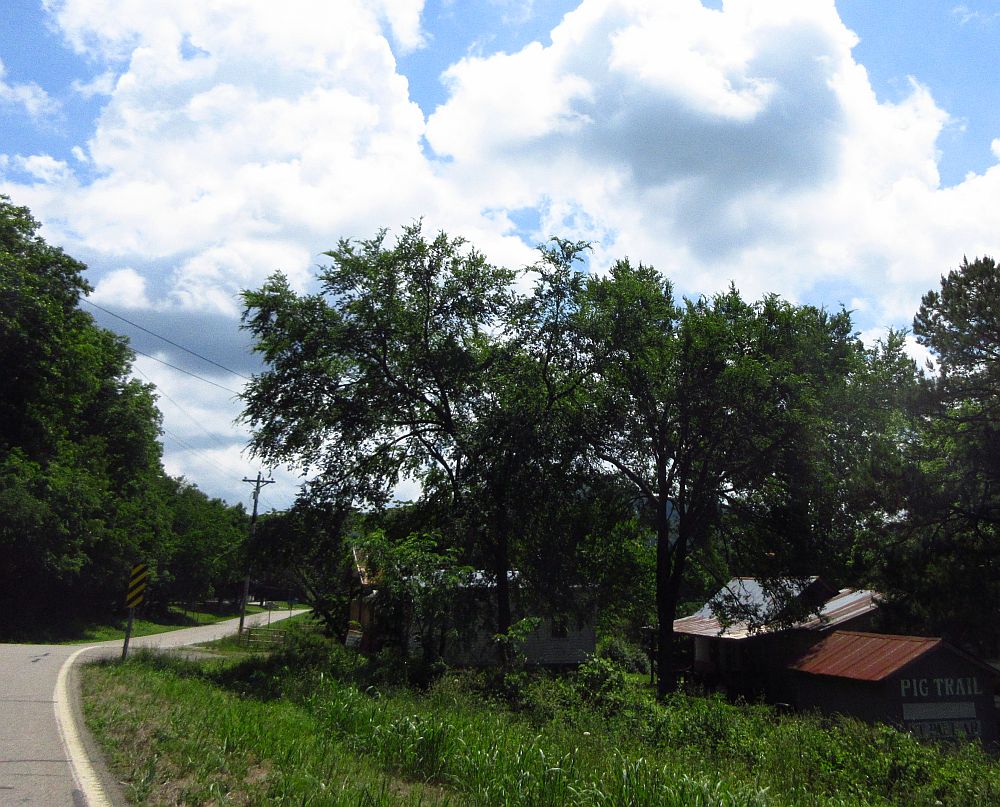 28-Pig%20Trail.jpg