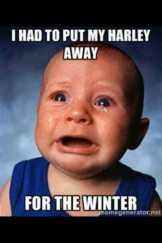 Away%20for%20Winter.jpg